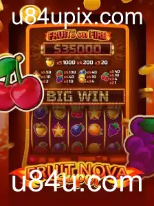 Explorando o Mundo de Excitação e Diversão de FruitNovaSuper
